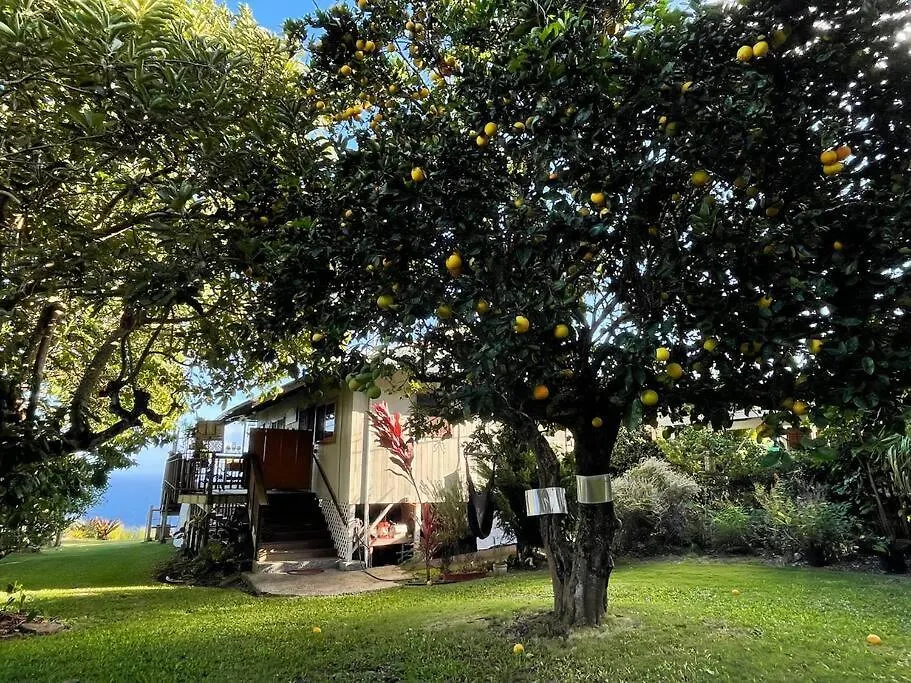 Vila Waipio Ocean View Oasis Kukuihaele