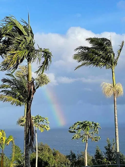 Vila Waipio Ocean View Oasis Kukuihaele USA